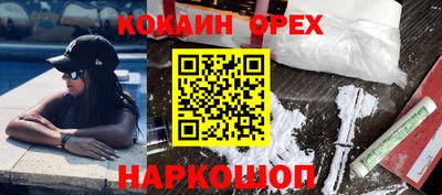 гидра Будённовск