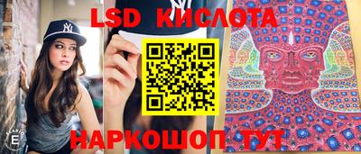 гидра Будённовск