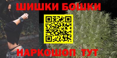 гидра Будённовск