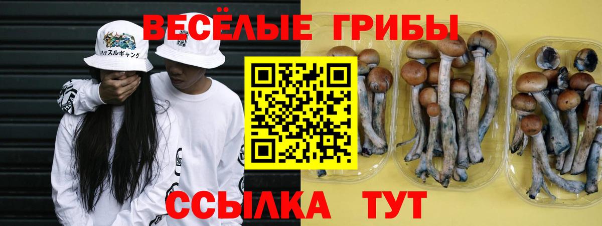 Псилоцибиновые грибы Psilocybine cubensis  Вход с VPN  Ржев 