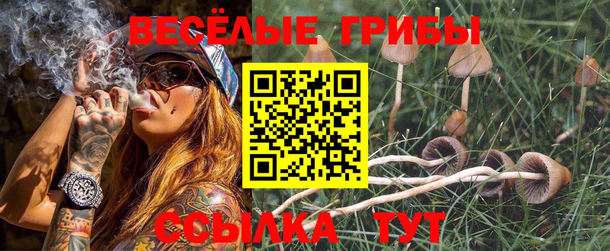 Псилоцибиновые грибы прущие грибы Ржев