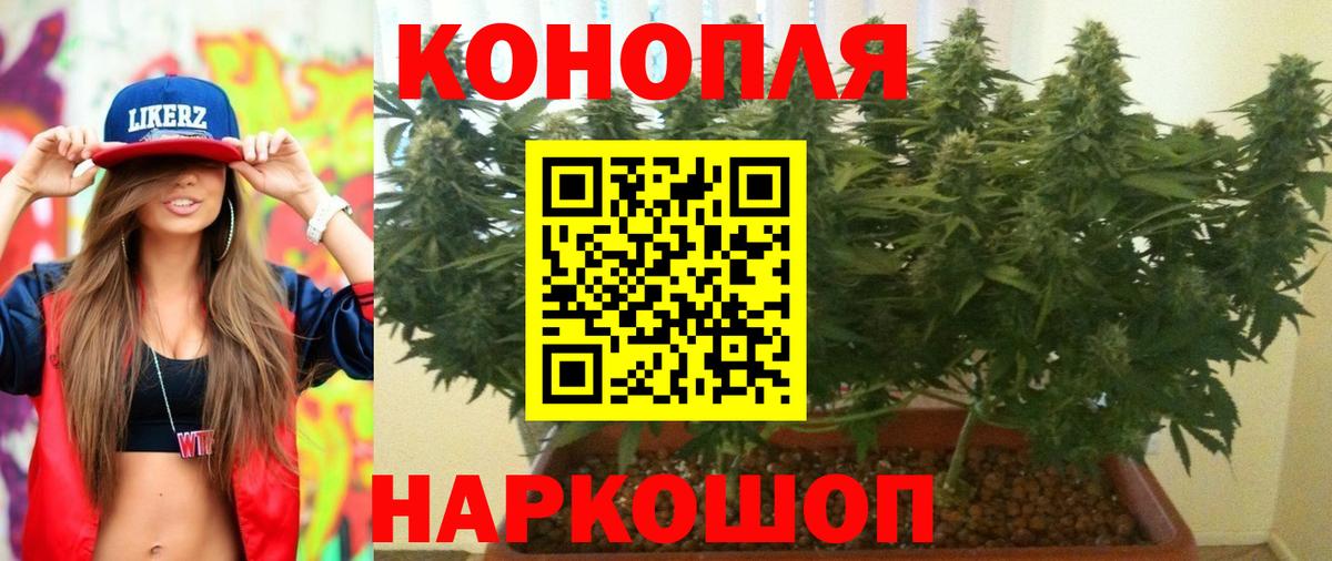 Канабис ГИДРОПОН  Вход с VPN  Бошки марихуана AK-47  Марихуана AK-47  Ржев 